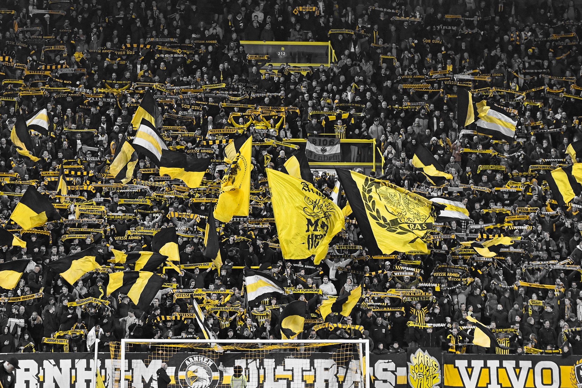 Vitesse Fankaart | Vitesse